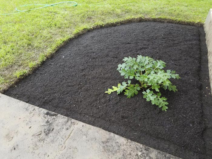 вырастил  сад в память о жене, посадил сад в память о погибшей жене