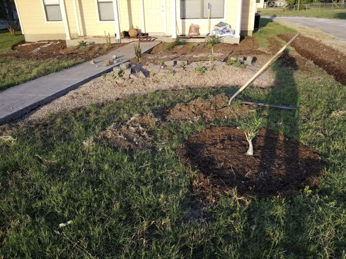 вырастил  сад в память о жене, посадил сад в память о погибшей жене