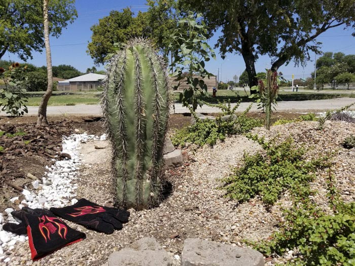 вырастил  сад в память о жене, посадил сад в память о погибшей жене