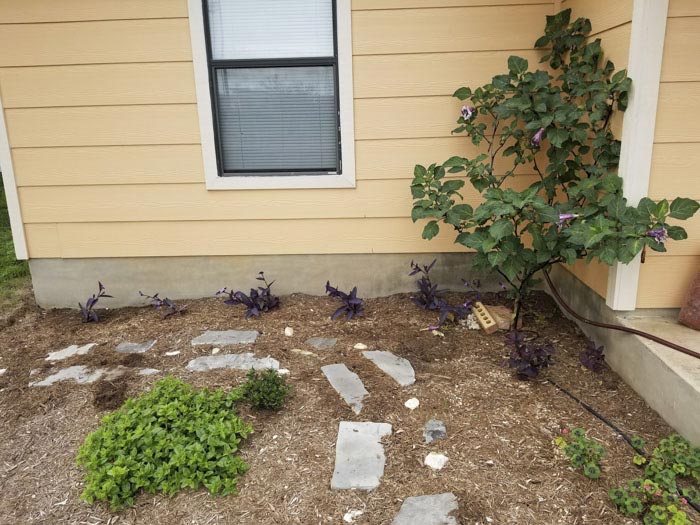 вырастил  сад в память о жене, посадил сад в память о погибшей жене