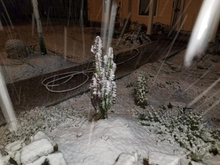 вырастил  сад в память о жене, посадил сад в память о погибшей жене