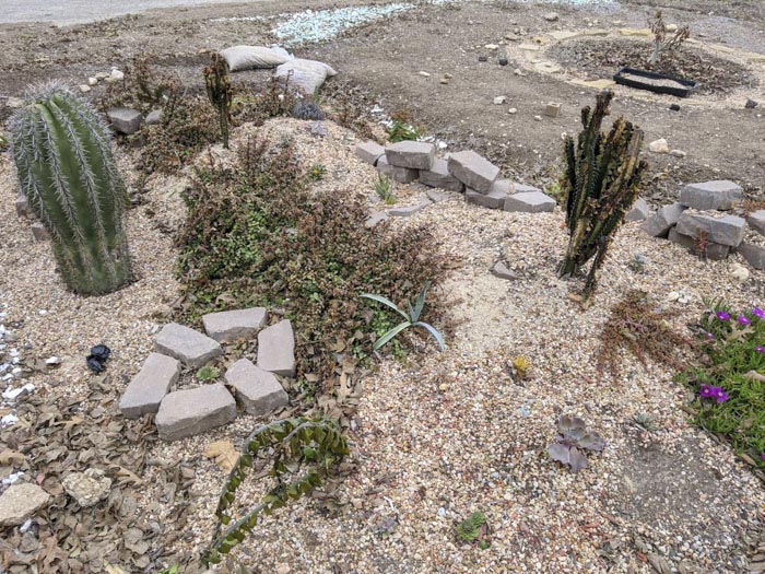 вырастил  сад в память о жене, посадил сад в память о погибшей жене