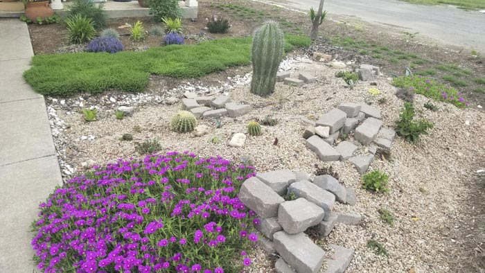 вырастил  сад в память о жене, посадил сад в память о погибшей жене