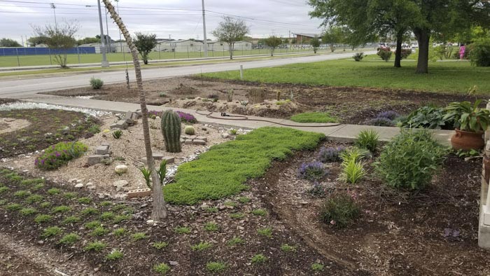 вырастил  сад в память о жене, посадил сад в память о погибшей жене