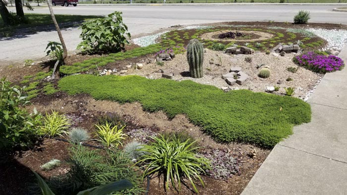 вырастил  сад в память о жене, посадил сад в память о погибшей жене