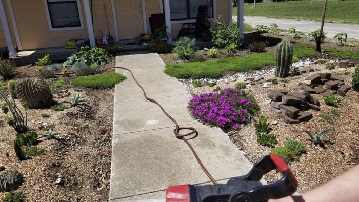 вырастил  сад в память о жене, посадил сад в память о погибшей жене