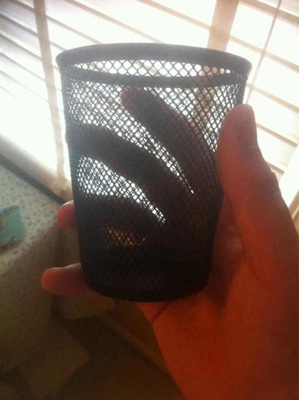 родители ведут себя со своими взрослыми детьми как с маленькими, родители думают что их взрослые дети маленькие 