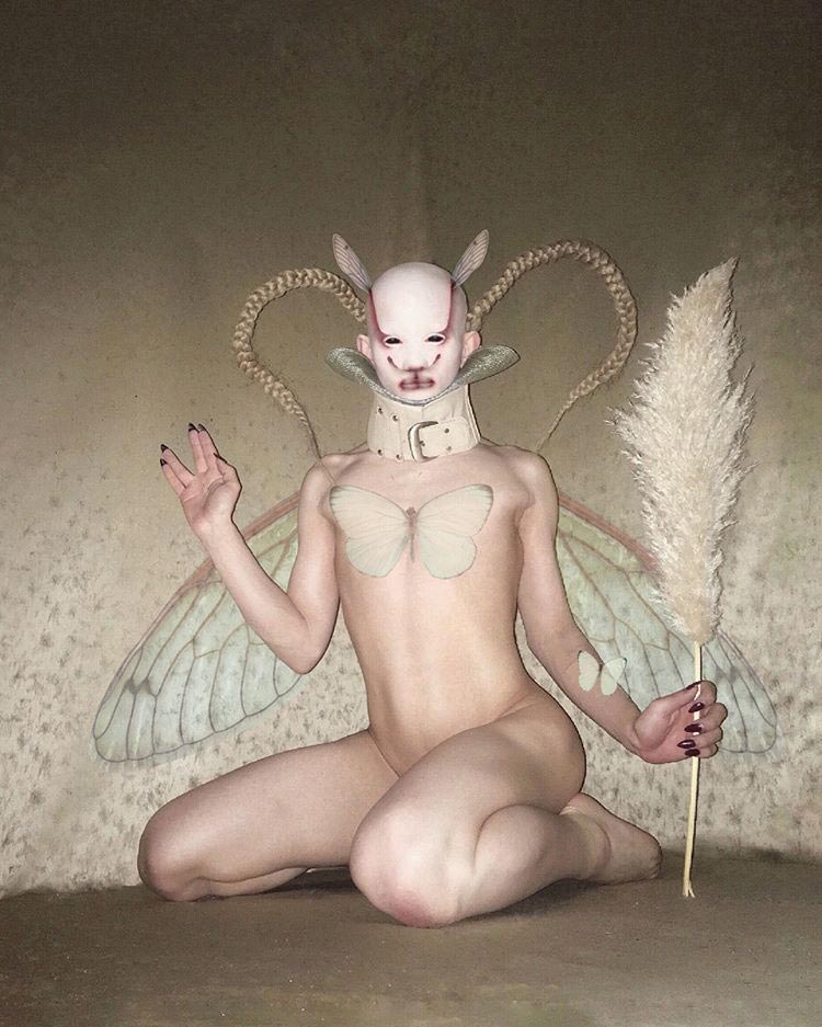 Сальвия – человек с неопределённым полом, чей внешний вид просто поразителен Сальвия – человек с неопределённым полом, Сальвия драг-квин