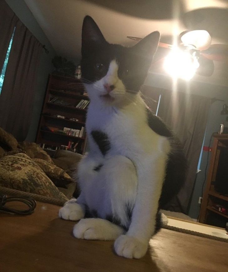 странные и необычные вещи, люди нашли странные вещи 