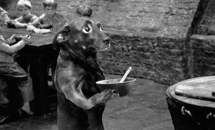 победители битвы фотошоперов, битва фотошоперов, смешной фотошоп