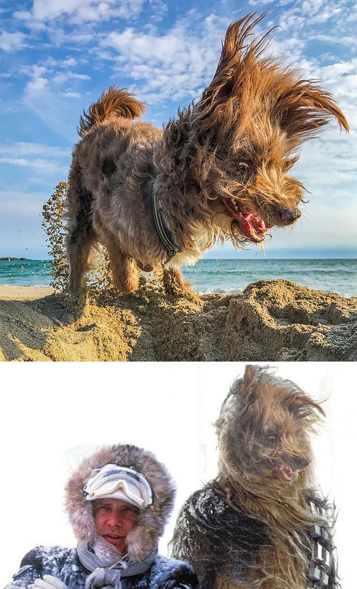 победители битвы фотошоперов, битва фотошоперов, смешной фотошоп