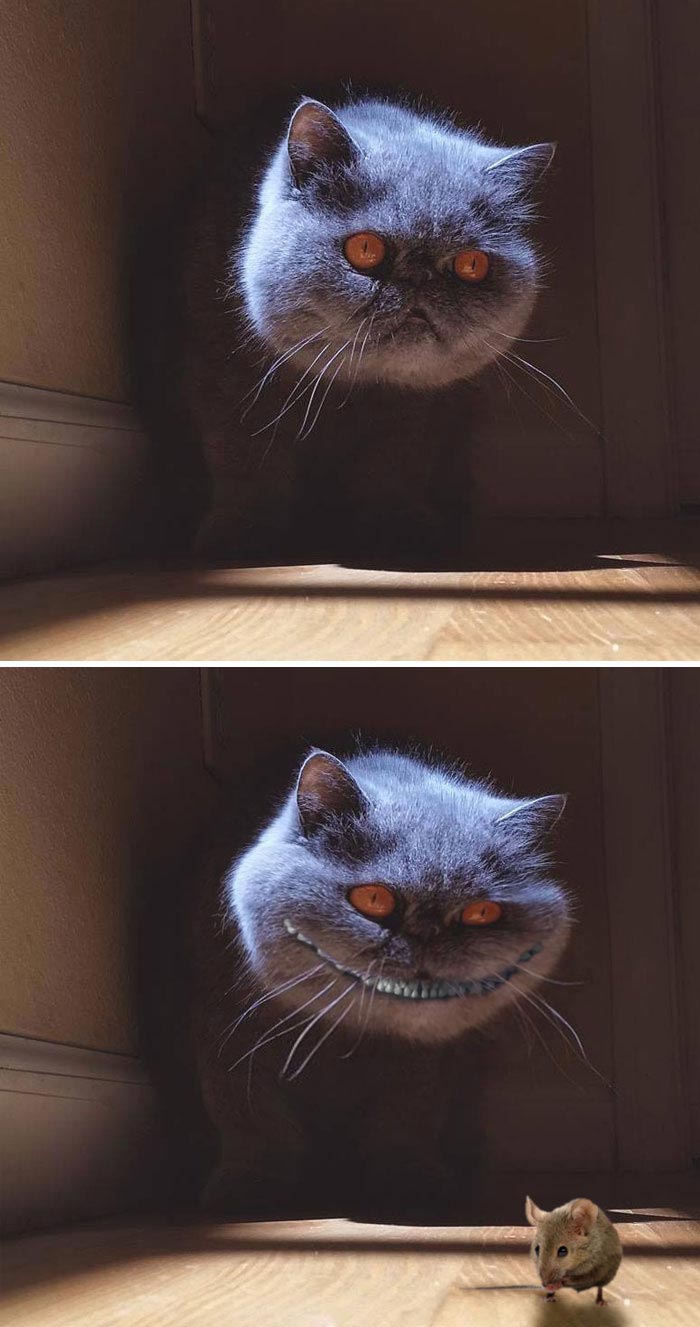 победители битвы фотошоперов, битва фотошоперов, смешной фотошоп