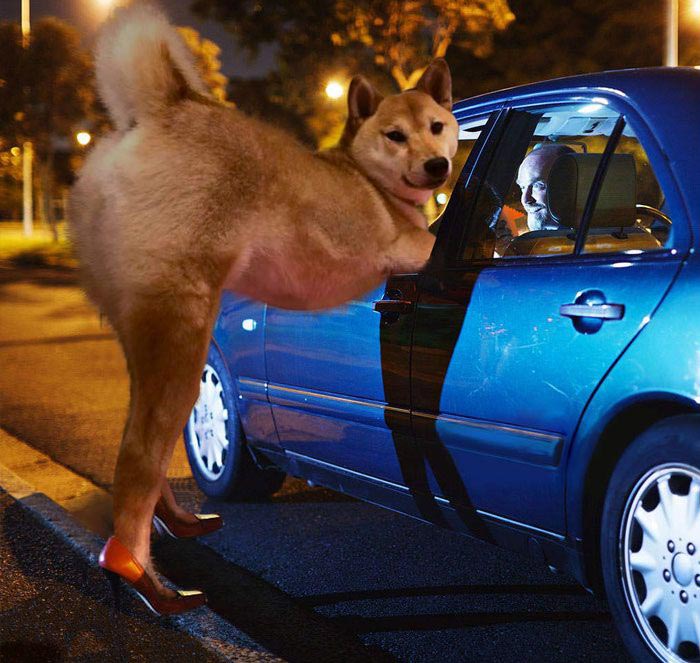 победители битвы фотошоперов, битва фотошоперов, смешной фотошоп