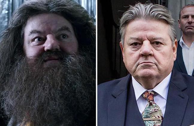 Чем сейчас занимаются актеры фильмов о Гарри Поттере, Чем сейчас занимаются актеры Гарри Поттера