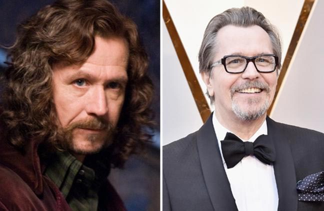 Чем сейчас занимаются актеры фильмов о Гарри Поттере, Чем сейчас занимаются актеры Гарри Поттера