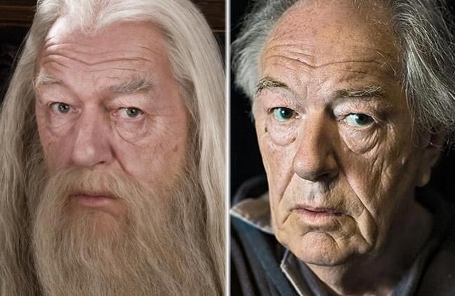 Чем сейчас занимаются актеры фильмов о Гарри Поттере, Чем сейчас занимаются актеры Гарри Поттера