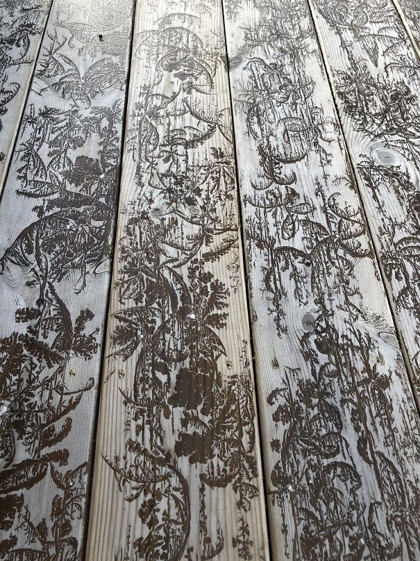 случайное искусство, картины созданные природой 