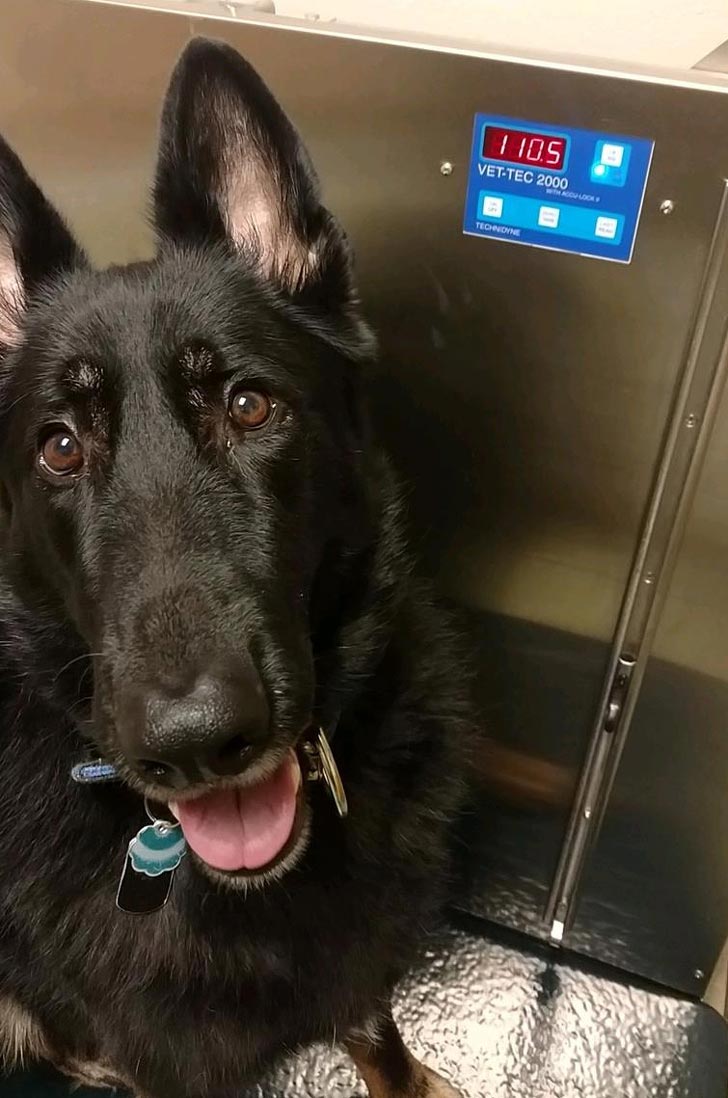 проблемы которые не понять худым, проблемы с которыми не сталкивались худые 