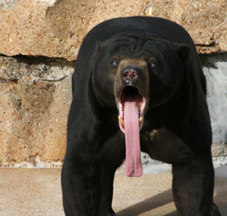 проблемы которые не понять худым, проблемы с которыми не сталкивались худые 