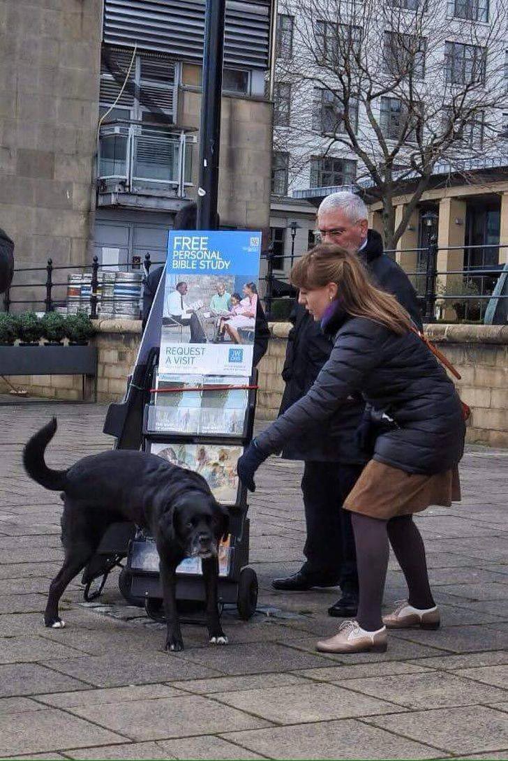 25 смешных случаев, когда люди попали в неловкие ситуации, и узнали, что такое стыд неловкие ситуации, неловкие ситуации фото, люди в неловких ситуациях
