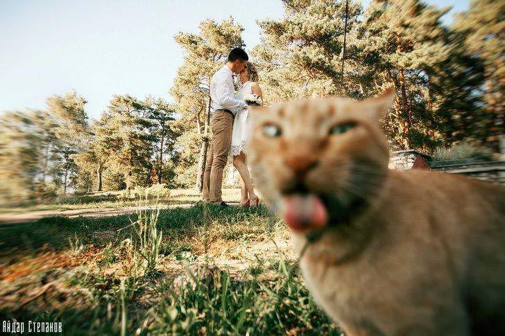 25 смешных случаев, когда люди попали в неловкие ситуации, и узнали, что такое стыд неловкие ситуации, неловкие ситуации фото, люди в неловких ситуациях