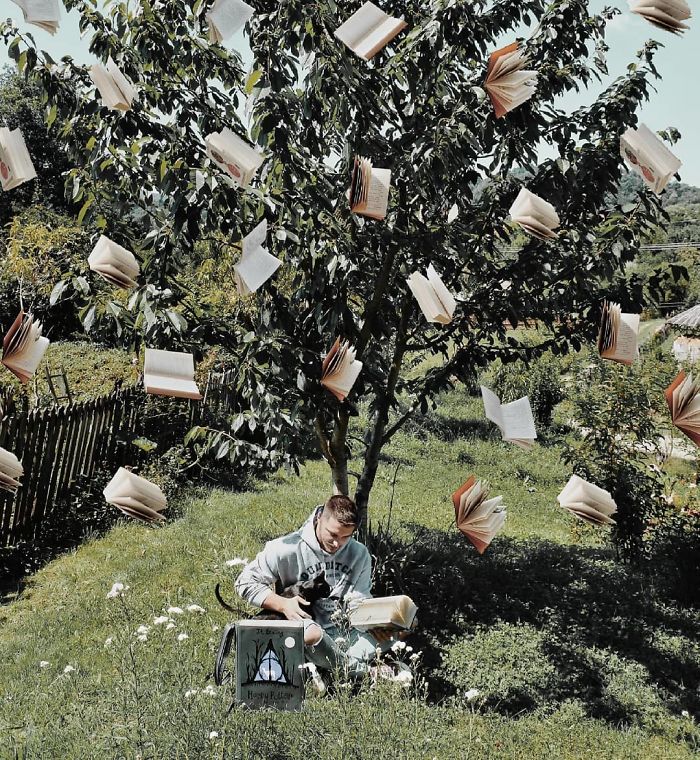 Парень превращает свою массивную библиотеку в искусство,  Джеймс Тревино. James Trevino