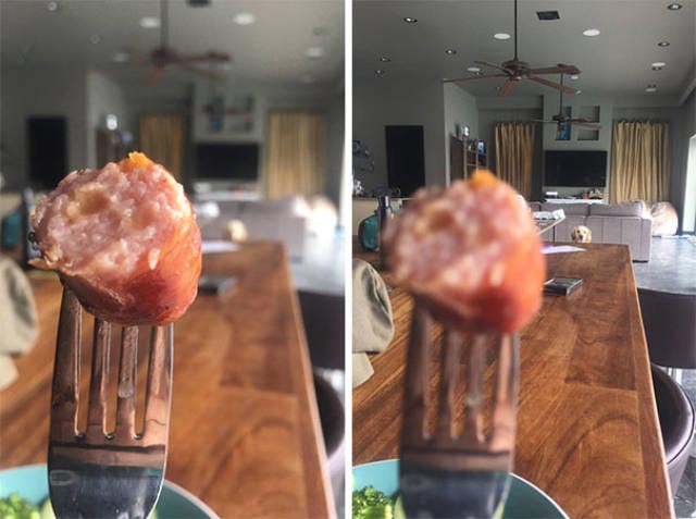 25 смешных собак, которые очень завидуют своим владельцам, потому что у них есть еда завидующие собаки, собака завидует, собака смотрит на еду, собака завидует хозяину