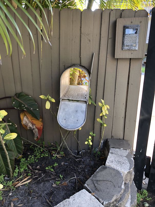 люди вывели дизайн своих почтовых ящиков на новый уровень