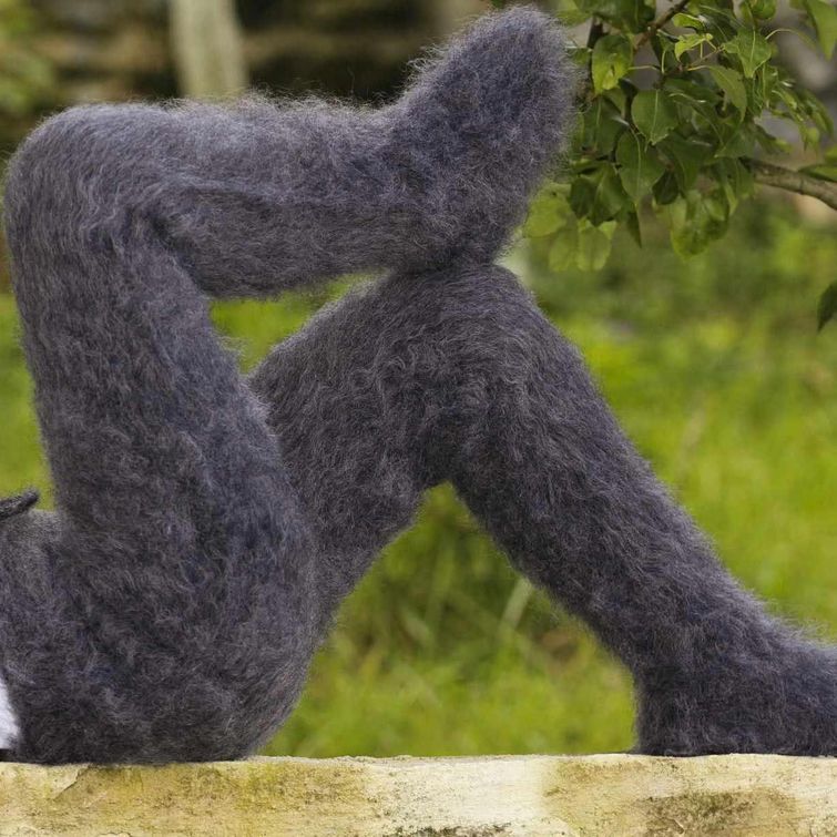 смешной дизайн одежды, нелепый дизайн одежды, плохая одежда, плохой дизайн, смешной дизайн