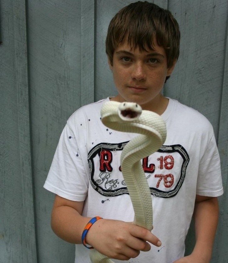 фотографии были сделаны в нужный момент,  снимок в тот самый момент