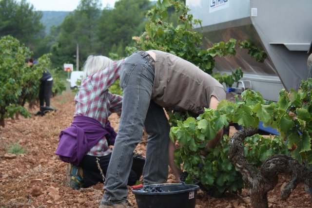 фотографии были сделаны в нужный момент,  снимок в тот самый момент