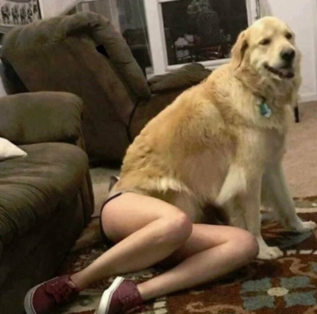 фотографии были сделаны в нужный момент,  снимок в тот самый момент