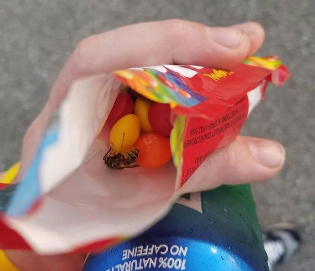 плохой день, фотографии плохой день, люди у которых был плохой день, 