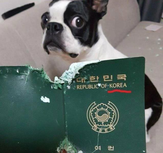 плохой день, фотографии плохой день, люди у которых был плохой день, 