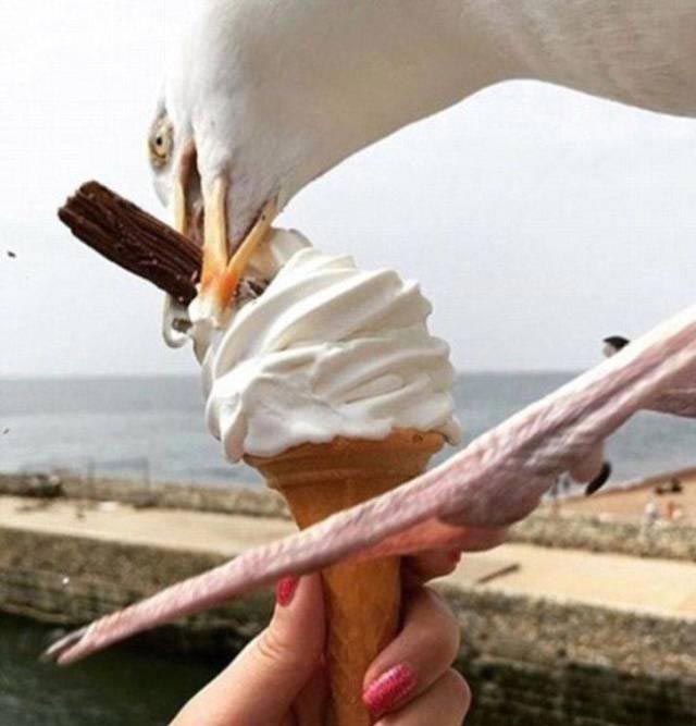 плохой день, фотографии плохой день, люди у которых был плохой день, 