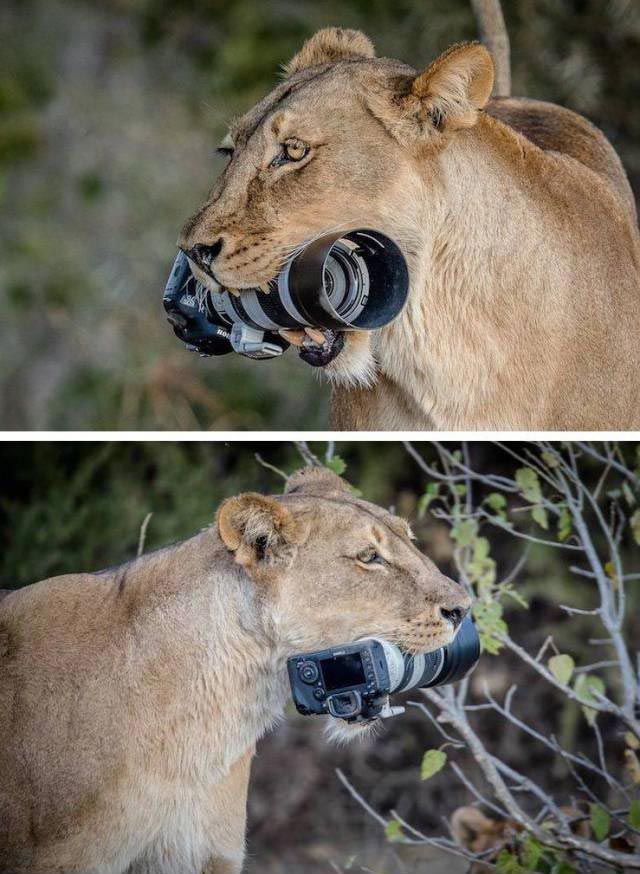плохой день, фотографии плохой день, люди у которых был плохой день, 
