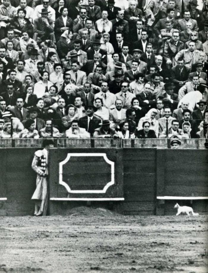 Исторические кадры, редкие архивные фотографии, исторические события, редкие фото звёзд