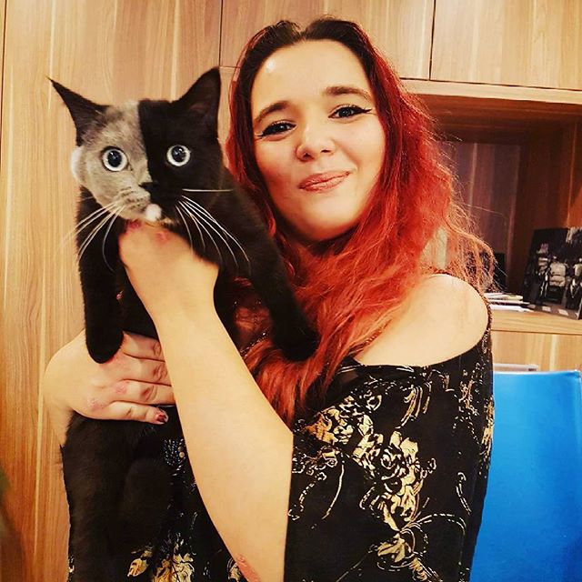 кошка Нарния, двуликая кошка Нарния, кошка химера 