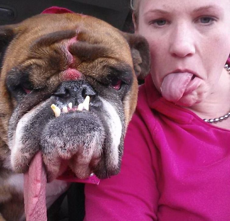 самая уродливая собака 2018, бульдог жа жа