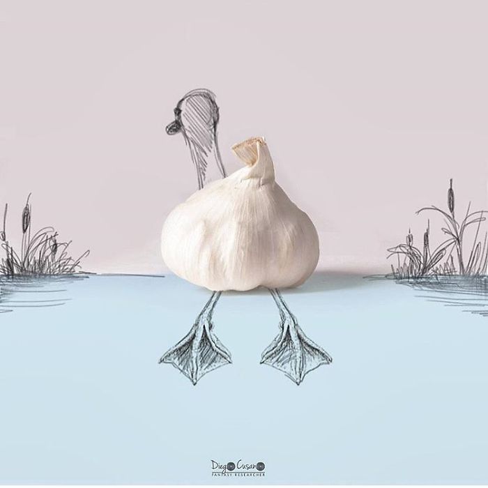 Художник превращает обычные предметы в умные иллюстрации, Диего Кусано, Diego Cusano