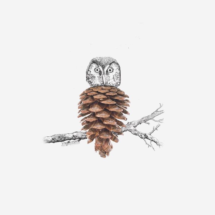 Художник превращает обычные предметы в умные иллюстрации, Диего Кусано, Diego Cusano