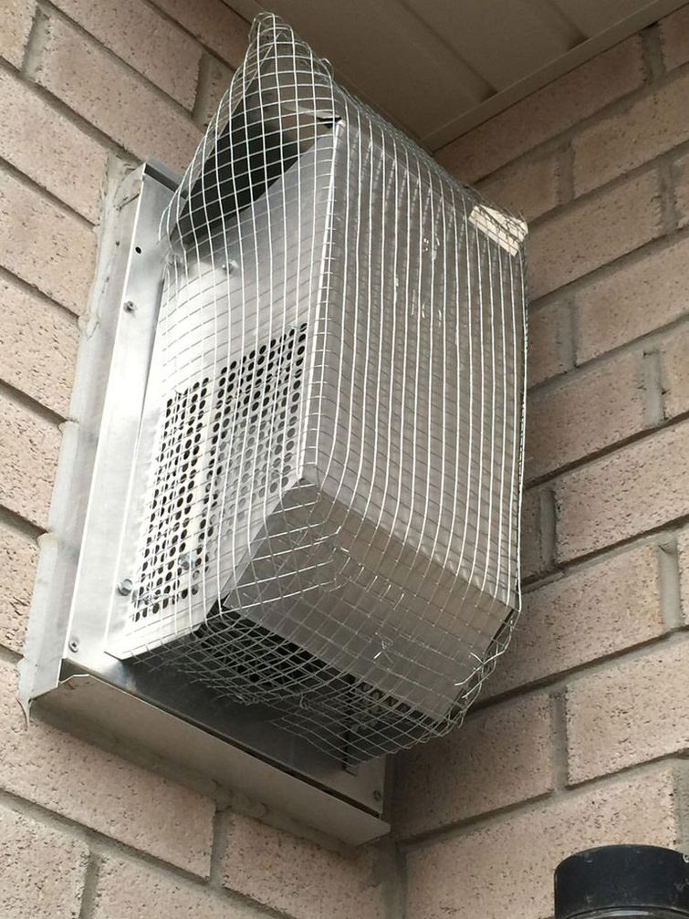 битва с голубями, битва с птицами, птицы гнездились камин, птицы гнездятся в доме