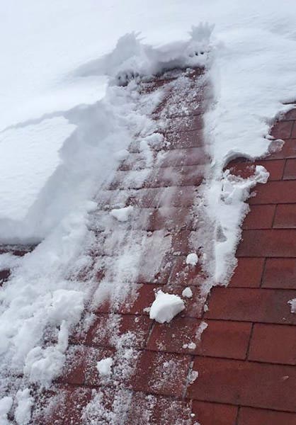 мужчины живут меньше, почему мужчины живут меньше женщин, доказательства мужчины живут меньше