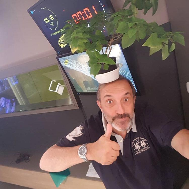 Волосы в виде цветочной вазы, flower vase hair, Тейлор Р, Taylor R