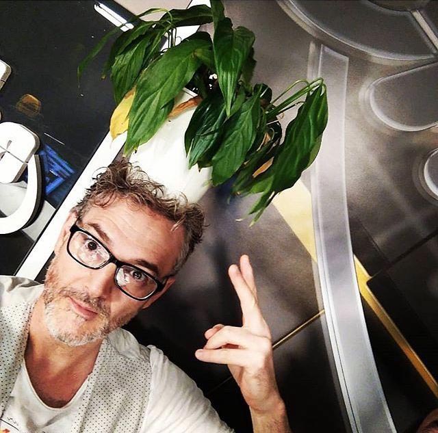 Волосы в виде цветочной вазы, flower vase hair, Тейлор Р, Taylor R