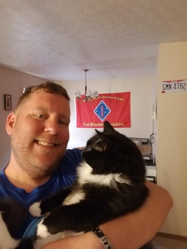 милые и забавные животные, фотографии с животными которые сделают день лучше.