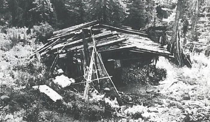 Карп Лыков, семья Лыковых, семья лыковых в тайге история, семья лыковых история, семья лыковых биография