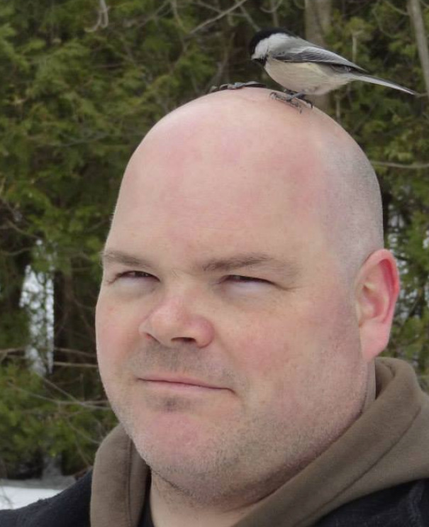  люди внезапно стали принцессами Диснея, люди превратились в диснеевских принцесс, животные пришли к людям 