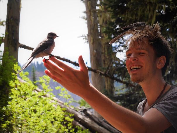  люди внезапно стали принцессами Диснея, люди превратились в диснеевских принцесс, животные пришли к людям 