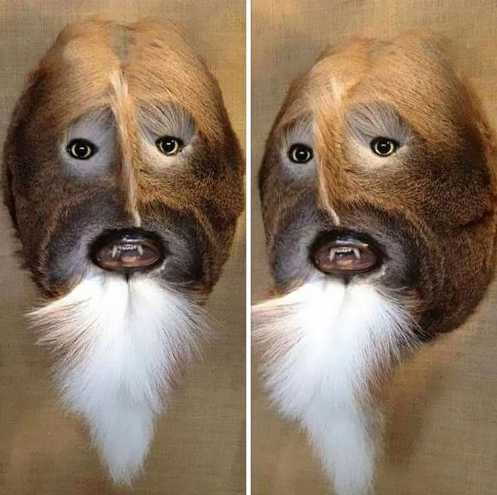 дурацкие вещи своими руками, дурацкий дизайн вещей, пытались сделать своими руками